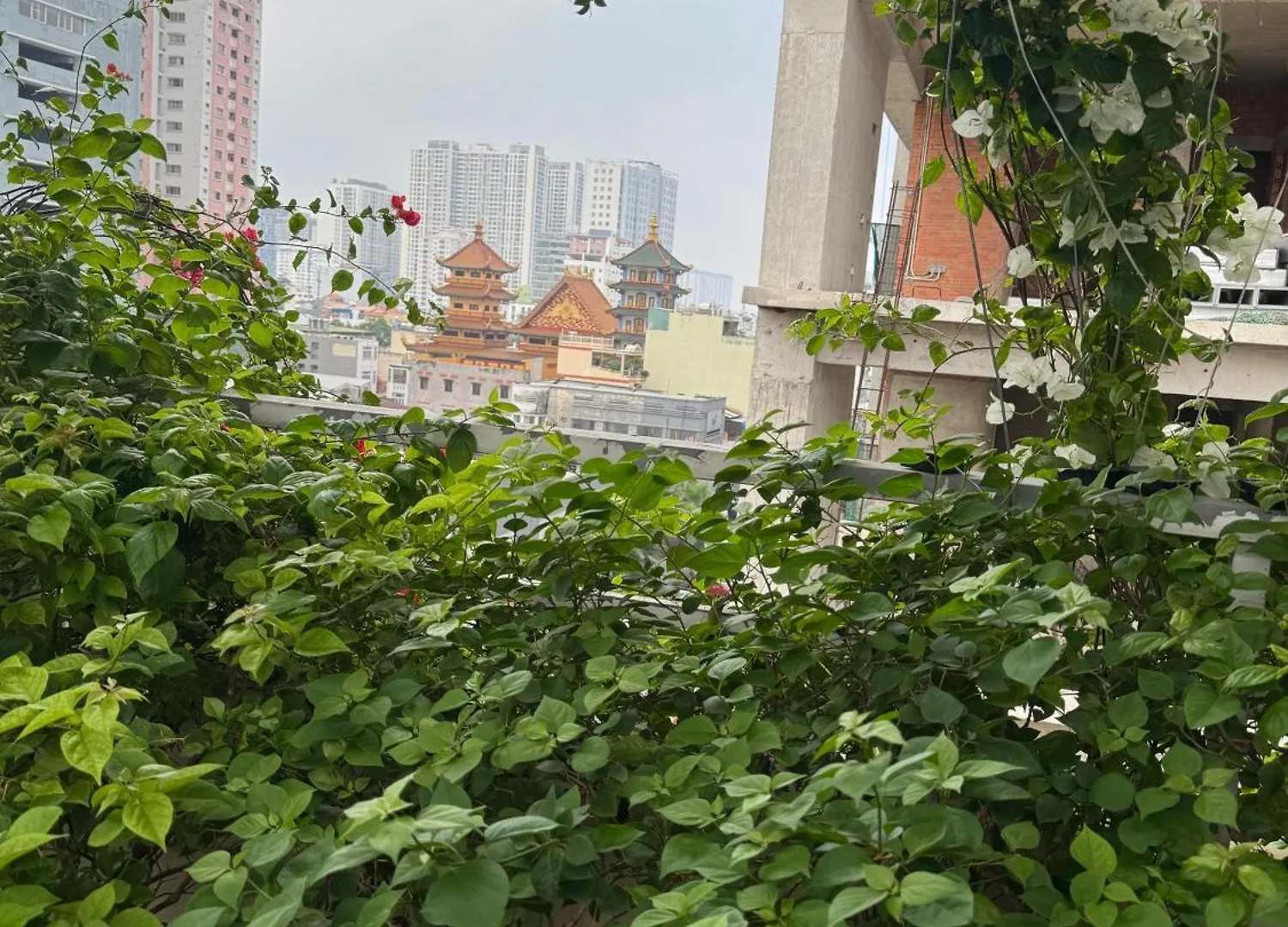 Vu Binh Homestay Ho Chi Minh City