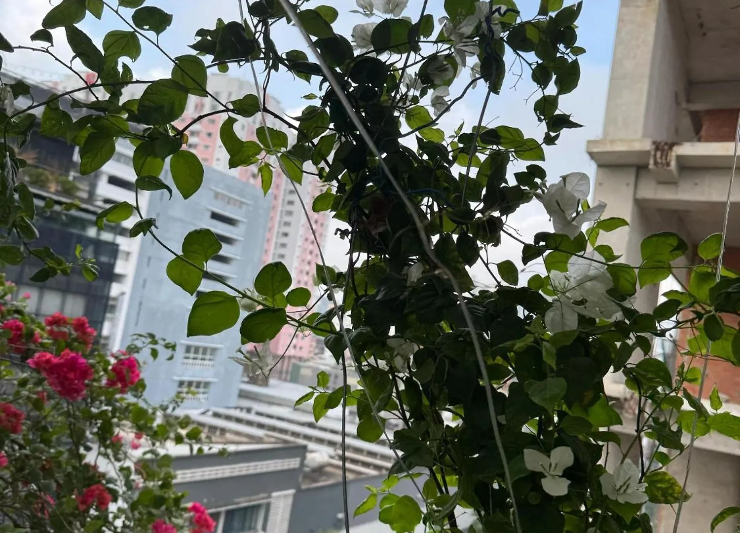 Vu Binh Homestay Ho Chi Minh City Vietnam
